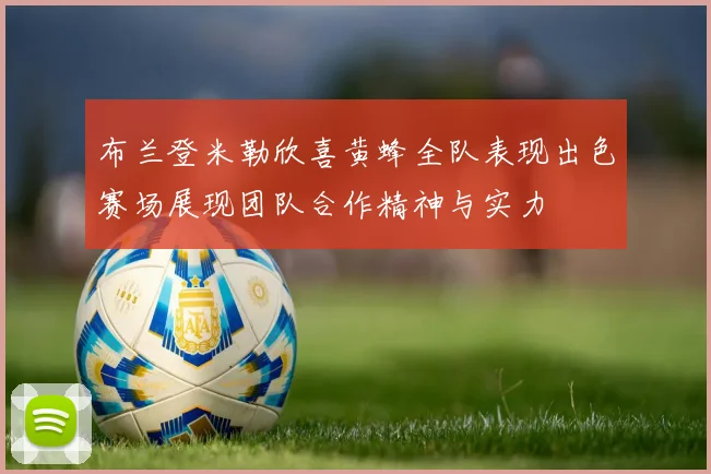 布兰登米勒欣喜黄蜂全队表现出色赛场展现团队合作精神与实力