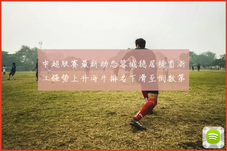 中超联赛最新动态蓉城稳居榜首浙江强势上升海牛排名下滑至倒数第三